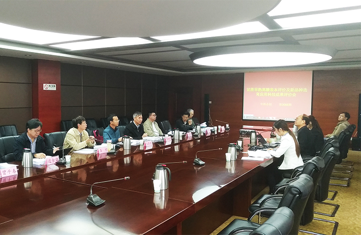 甘蔗高糖亲本评价及新品种选育应用 anli.jpg